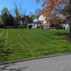 grass cutting by Amby&#039;s Lawn Service reviewed on August 21, 2025