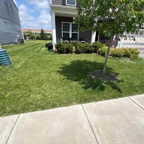 residential landscaping by All lawns reviewed on August 17, 2025