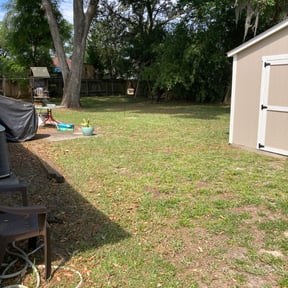 Leaf Removal by Solis Landscaping  &amp; Maintenance LLC reviewed on September 13, 2025