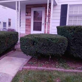 Bush Trimming by VSL Lawn Service reviewed on August 16, 2025