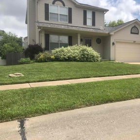 grass cutting by Robert Webb reviewed on August 17, 2025