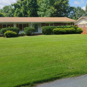 yard maintenance by Cleancut Landscaping reviewed on August 18, 2025