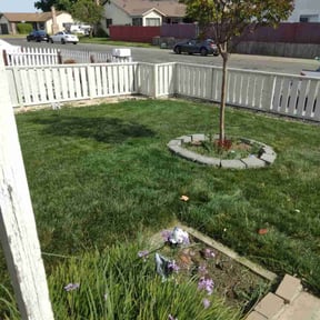 yard work by Scotland lawn care and Pressure washing reviewed on August 15, 2025