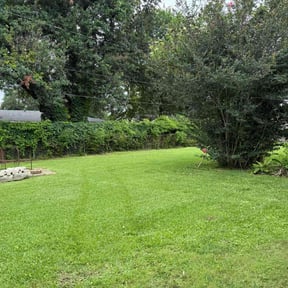 landscape maintenance by Serenity Lawn Care and Property Maintenance reviewed on August 17, 2025