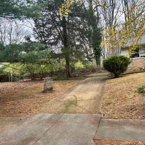 Leaf Removal by T&amp;J Cleaning Services LLC reviewed on November 21, 2025