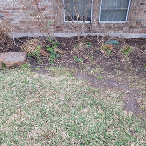 Leaf Removal by Top Turf L.L.C reviewed on September 18, 2025