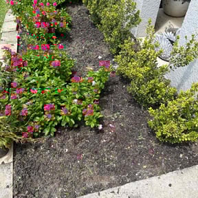 Flower Bed Weeding by Oakwood Landscaping reviewed on August 16, 2025