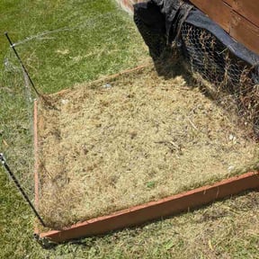 Flower Bed Weeding by Fredrick  Miller reviewed on June 8, 2026
