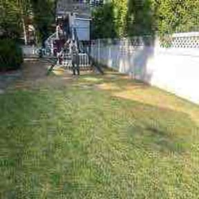 Leaf Removal by ERAZO reviewed on November 7, 2025