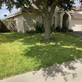 yard service by The Yard Barber reviewed on August 17, 2025