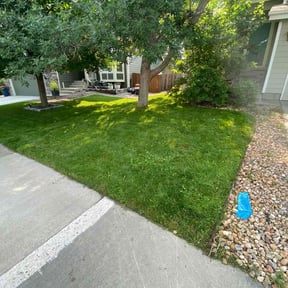 landscaping by Connor Andrew LLC reviewed on November 27, 2025