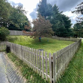 lawn care services by Family Lawn Care reviewed on May 9, 2024