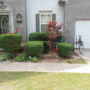 Bush Trimming by Felicianos Lawn Maintenance LLC reviewed on August 20, 2025