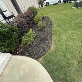 Flower Bed Weeding by Theo's Lawn care reviewed on July 16, 2026