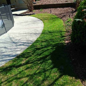grass maintenance by AP Landscapers reviewed on October 15, 2021