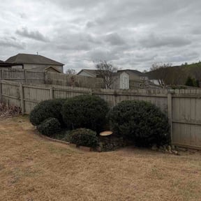 Bush Trimming by Trusty Trade Co. reviewed on April 7, 2026