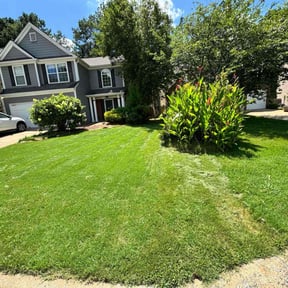 yard work by Thomas Lawn Care and Hauling reviewed on August 16, 2025