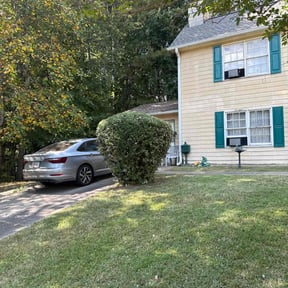 Bush Trimming by Best of Pros Lawn Service reviewed on August 23, 2024