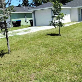 lawn care services by Superior lawn improvements reviewed on July 12, 2023