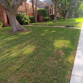 Leaf Removal by ATM reviewed on September 28, 2025