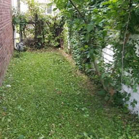 Bush Trimming by Strike Lawncare, LLC reviewed on August 17, 2025