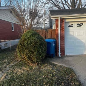 Bush Trimming by DigonThis Lawncare reviewed on September 20, 2024