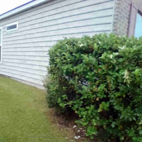 turf maintenance by Justin Moore reviewed on August 12, 2023