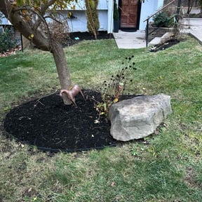 Flower Bed Weeding by Trucare Total Landscaping reviewed on November 22, 2025