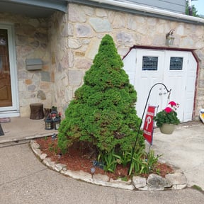 Bush Trimming by MHS lawn care reviewed on November 18, 2025