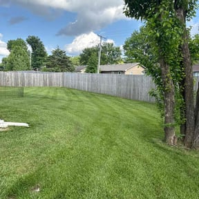 lawn care by Lawn Love reviewed on August 21, 2025