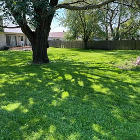 landscaping services by Jacobs lawn service reviewed on August 20, 2025