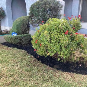 Bush Trimming by C.A. Lawnservices reviewed on August 19, 2025