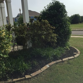 Bush Trimming by Elite Landscaping reviewed on August 16, 2025