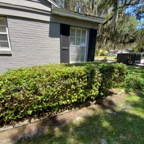 Bush Trimming by Joshua's landscaping reviewed on August 16, 2025