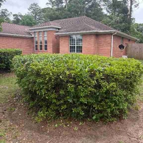 Bush Trimming by Guzmán Lawn &amp; Landscape company reviewed on June 25, 2026