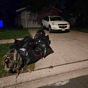 Leaf Removal by 100% Landcare reviewed on September 9, 2025
