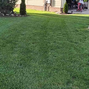 yard work by Amelia’s landscape reviewed on August 20, 2025