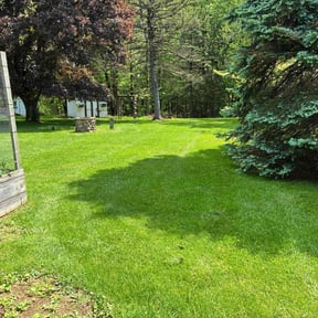 yard care by The Williams reviewed on August 15, 2025