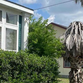 Bush Trimming by PLM reviewed on August 19, 2025