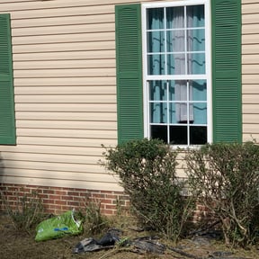 Bush Trimming by El Coqui Lawn Care reviewed on October 18, 2025