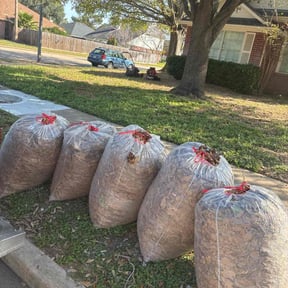 Leaf Removal by Lawn services JAV reviewed on January 8, 2026