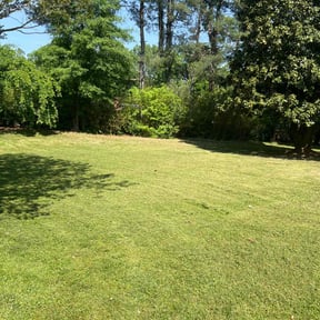 turf care by Top Turf L.L.C reviewed on August 15, 2025