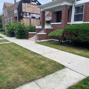 Bush Trimming by The Green Op reviewed on July 15, 2025