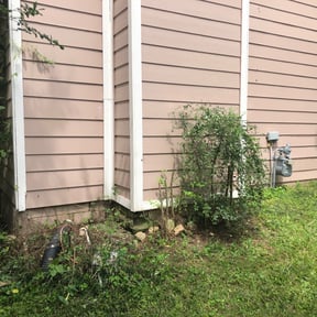 Bush Trimming by Medina's maintenance reviewed on August 18, 2025