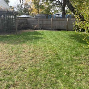 Leaf Removal by Rjm reviewed on September 29, 2025