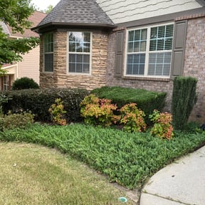 Bush Trimming by Robert’s Lawn Service reviewed on August 17, 2025