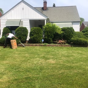 Bush Trimming by Re Image lawn care reviewed on August 15, 2025