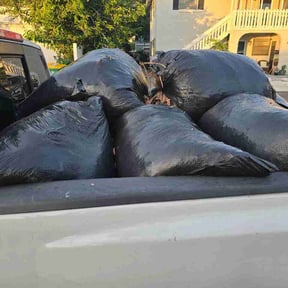 Leaf Removal by Green &amp; Son Lawn &amp; Hardscape reviewed on June 11, 2026