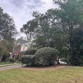 Bush Trimming by Heavenly Mejia lawn service reviewed on November 19, 2025