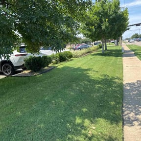 landscaping by Oasis Landscape reviewed on August 20, 2025